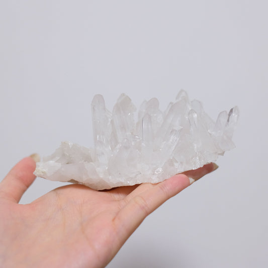 白晶簇