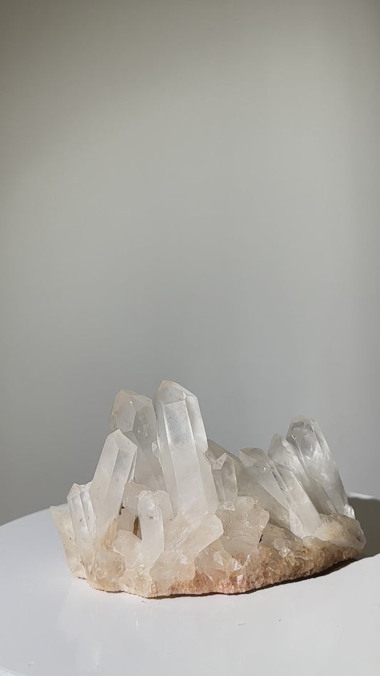 白晶簇