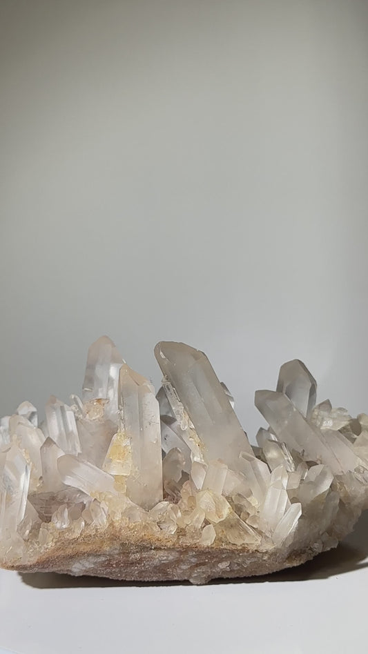 白晶簇