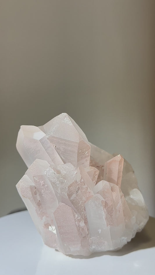 白晶簇